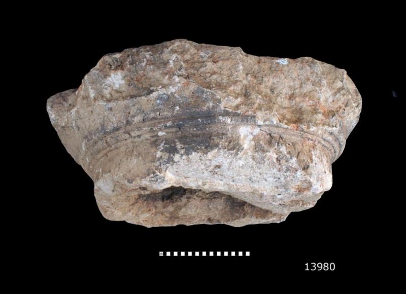 Descubren columna del “pórtico de Salomón” en Jerusalén