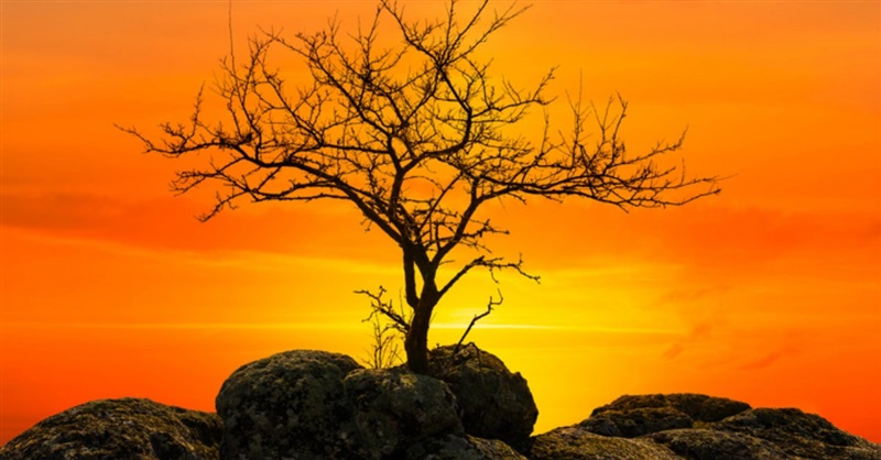 Científicos descubren evidencia del milagro del Antiguo Testamento