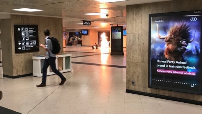 Alerta en Bruselas: la policía abatió a un musulmán que llevaba un cinturón de explosivos