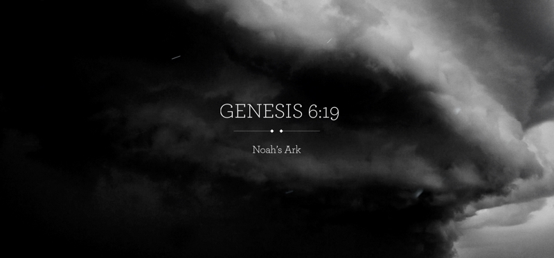 Campaña distorsiona Arca de Noé para defender diversidad sexual