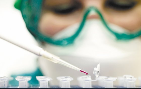 Genetistas quieren desvelar secretos de la identidad de género