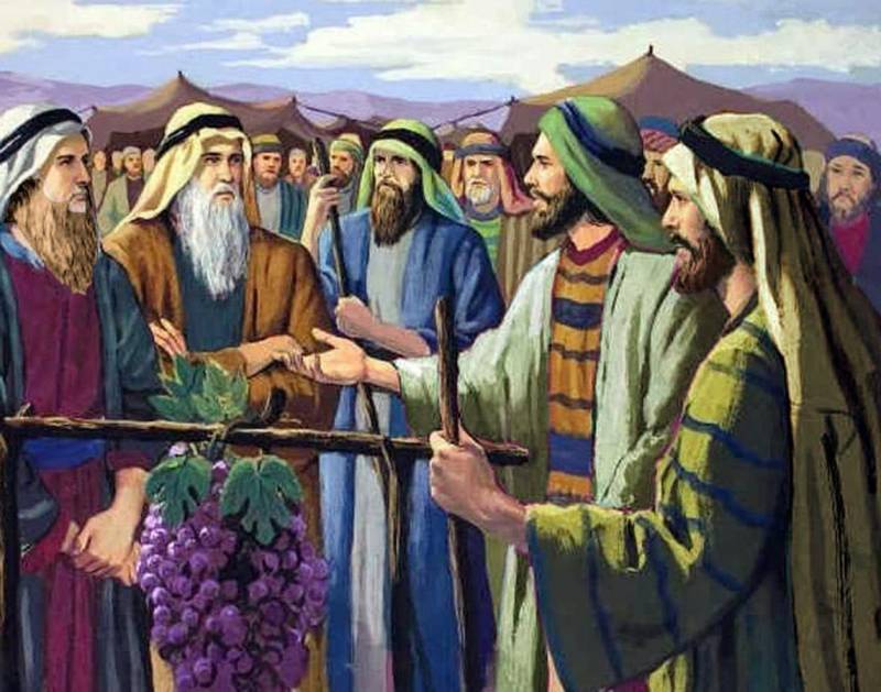 Reflexión de los 12 Espías de Israel