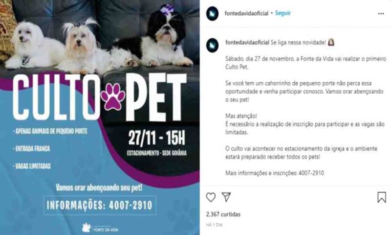 Iglesia causa controversia por anunciar  «culto» para perros
