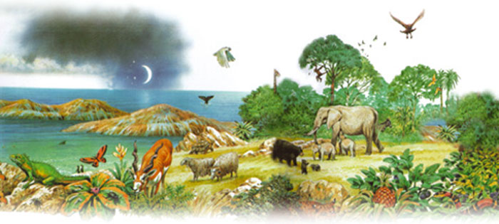 El Cristo eterno sostiene su creación