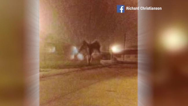 Imagen captada de supuesto “demonio” es viral en redes sociales