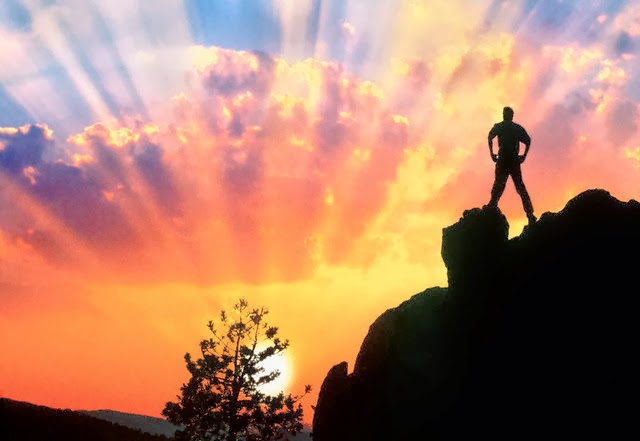 Devocional: No seré avergonzado