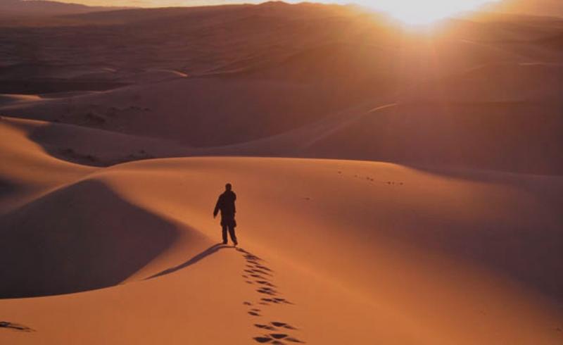 Devocional: En los desiertos, la presencia del Señor se vuelve todo