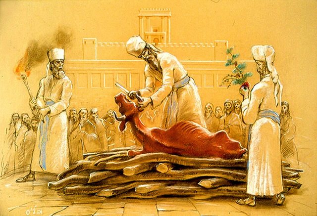 Devocional: Tu servicio sacerdotal