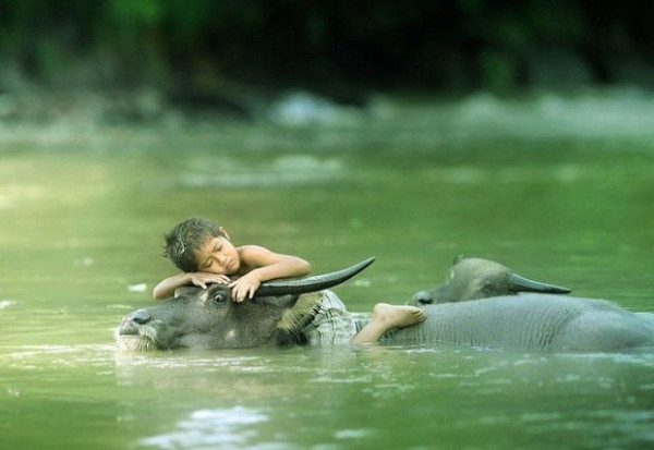 Devocional: Su protección
