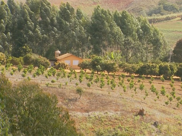 Secta transforma fieles en esclavos prometiendo liberarlos de la “bestia”