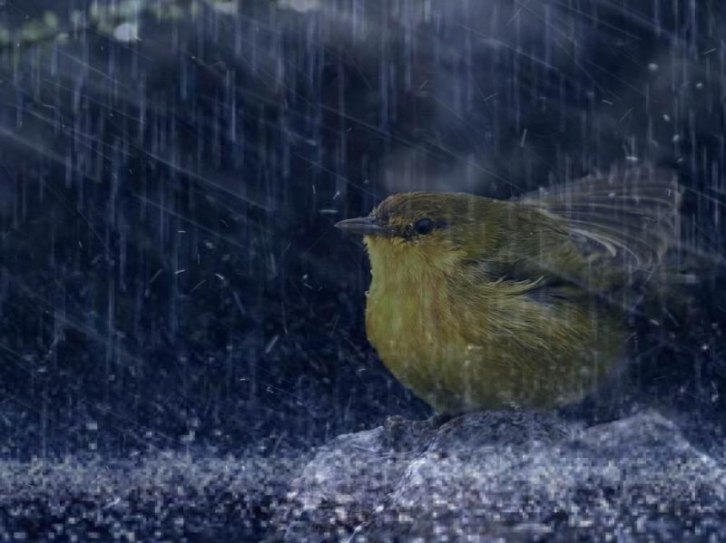 Devocional: La paz de Dios