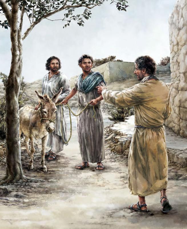 Devocional: Para el Señor