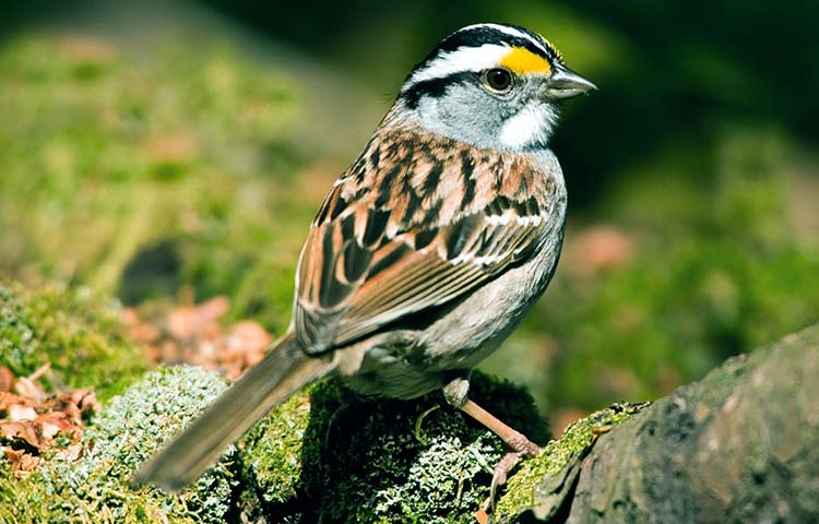 Devocional: Riquezas