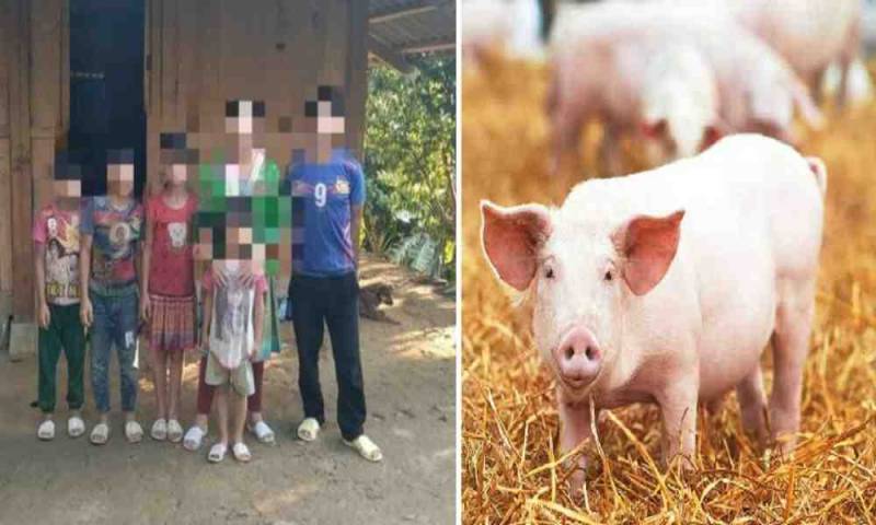 Cristianos son obligados a comprar 100 kilos de cerdo para evitar persecución