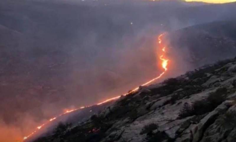 Incendio forestal azotó a poblado de Samaria en Israel