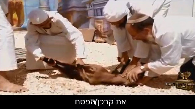 Judíos detenidos por tratar de sacrificar animales en Monte del Templo