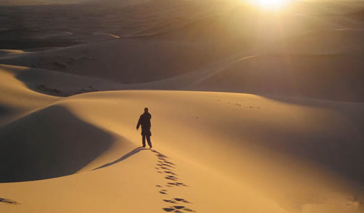 Devocional: En el desierto con seguridad