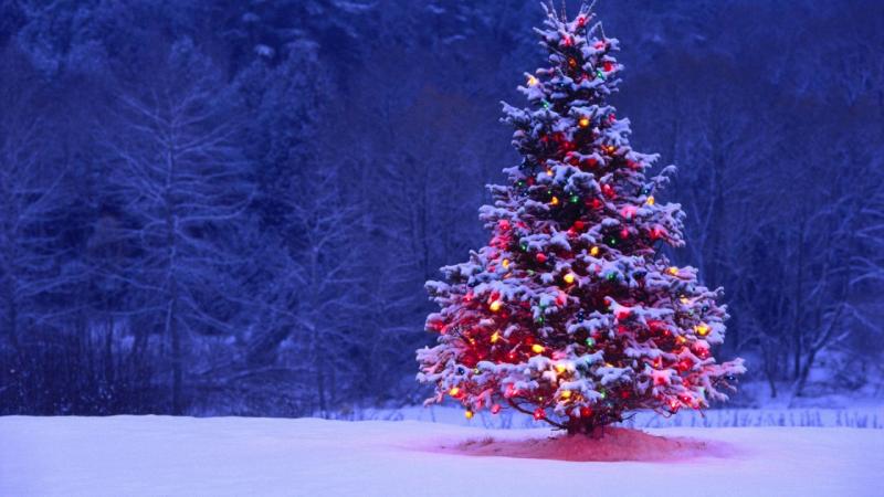 ¿Deberíamos los cristianos tener un árbol de Navidad? ¿Tiene el árbol de Navidad su origen en antiguos ritos paganos?
