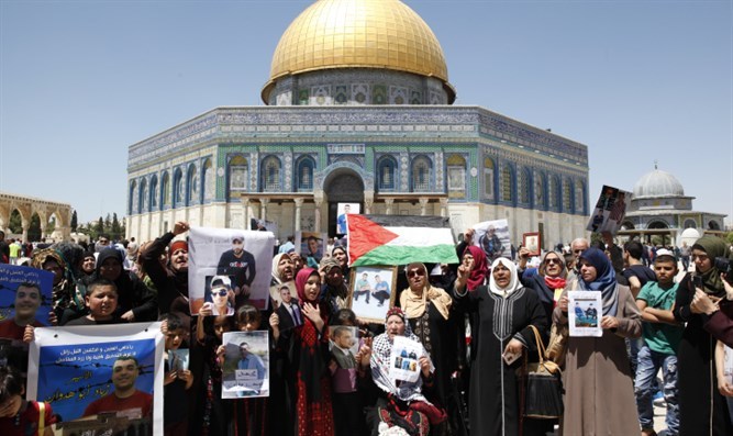 Palestinos prefieren terrorismo que un acuerdo de paz