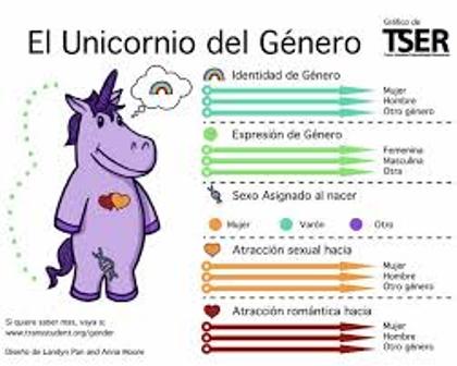 “Unicornio de género” quiere enseñar a niños que sexo biológico no existe
