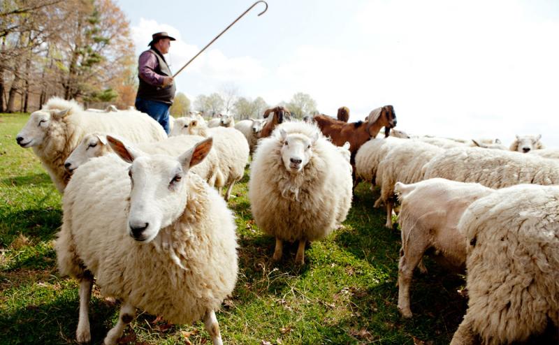 Mayoría de pastores no disciplina a sus miembros por “comportamiento pecaminoso”