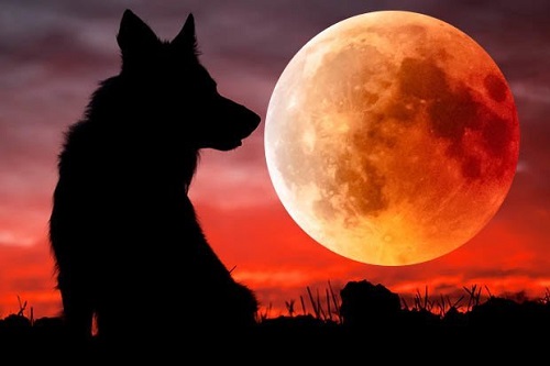 Súper Luna de Sangre de Lobo ocurrirá este mes, ¿Será señal de guerra en Medio Oriente?