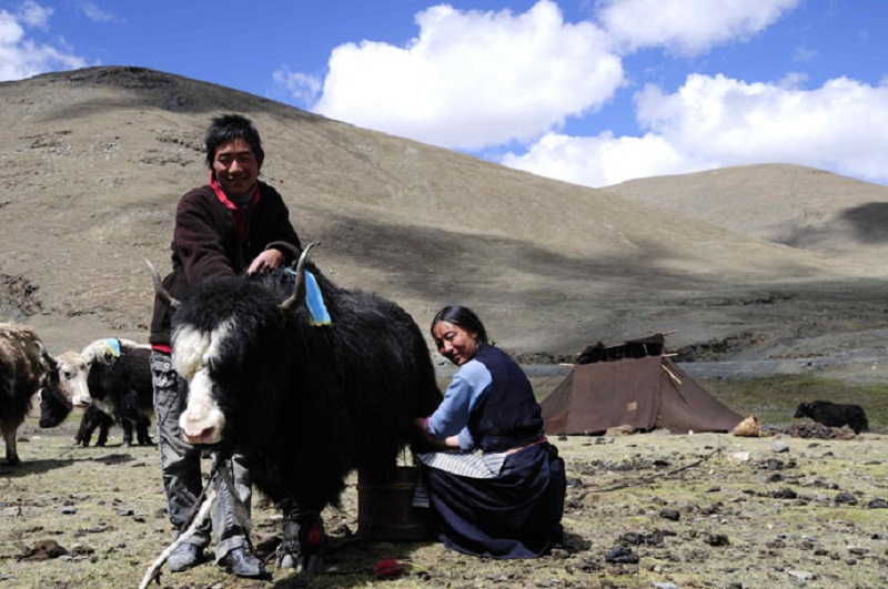 Misioneros cuentan que ángeles los libraron de ataque en el Tíbet