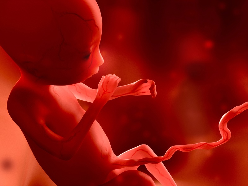 230 mil abortos han ocurrido en lo que va del 2020