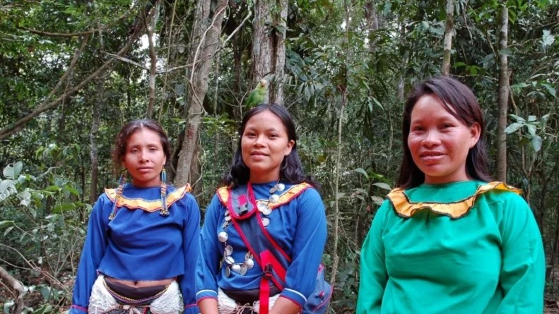 Juez prohíbe a misioneros contactar a indígenas en Brasil