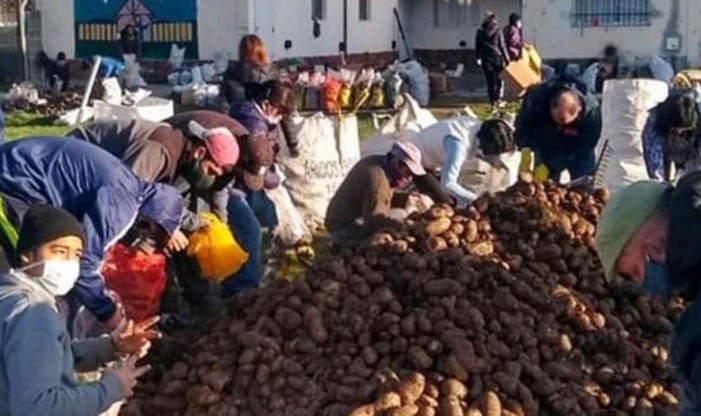 Pastores gestionan y entregan 15 toneladas de papas