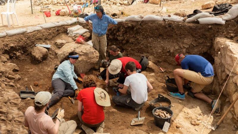 Arqueólogos israelíes encuentran artefactos antiguos de la época ...