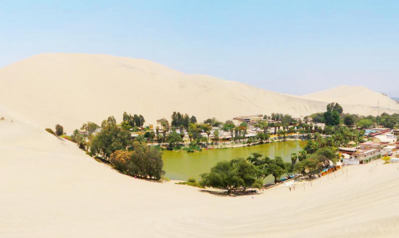 Devocional: Un oasis en el desierto