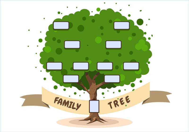 Devocional: ¿Cómo luce tu árbol genealógico?