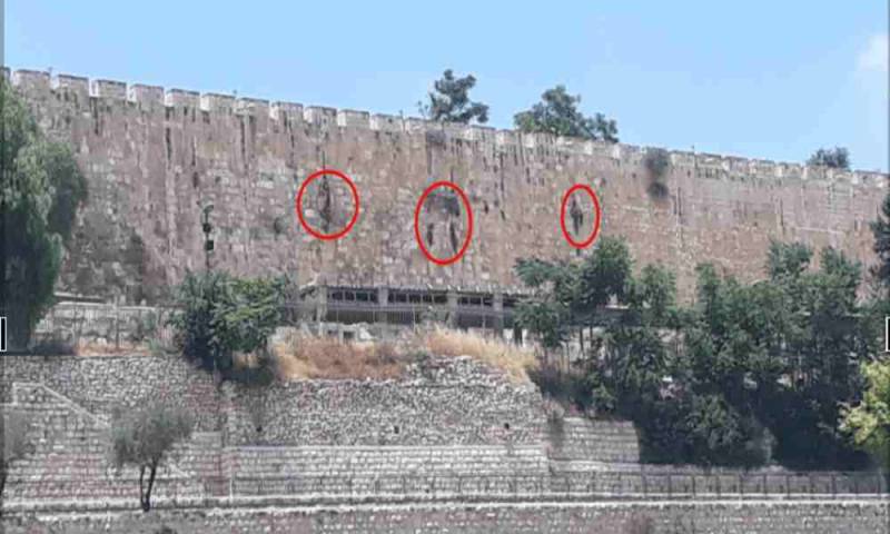 Crece vegetación formando la palabra Dios en el muro del Monte del Templo