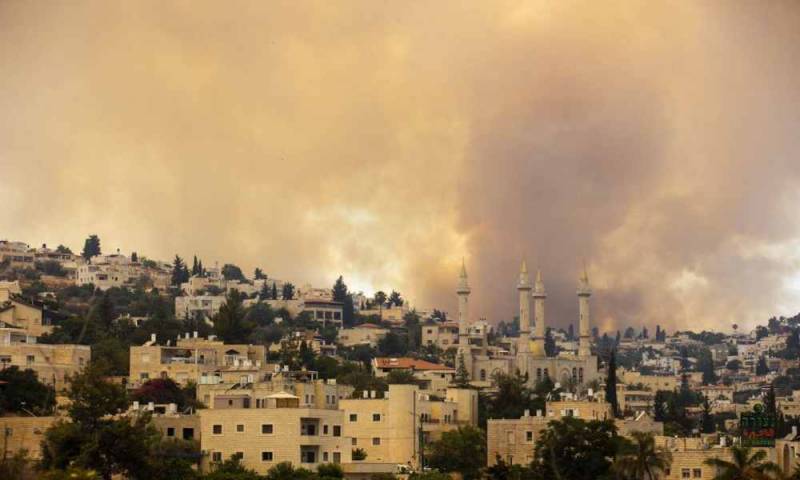 Bomberos logran controlar un incendio masivo cerca de Jerusalén